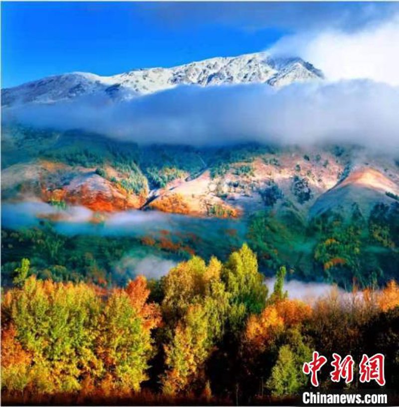 探寻南疆之美：一幅流动的风景画卷